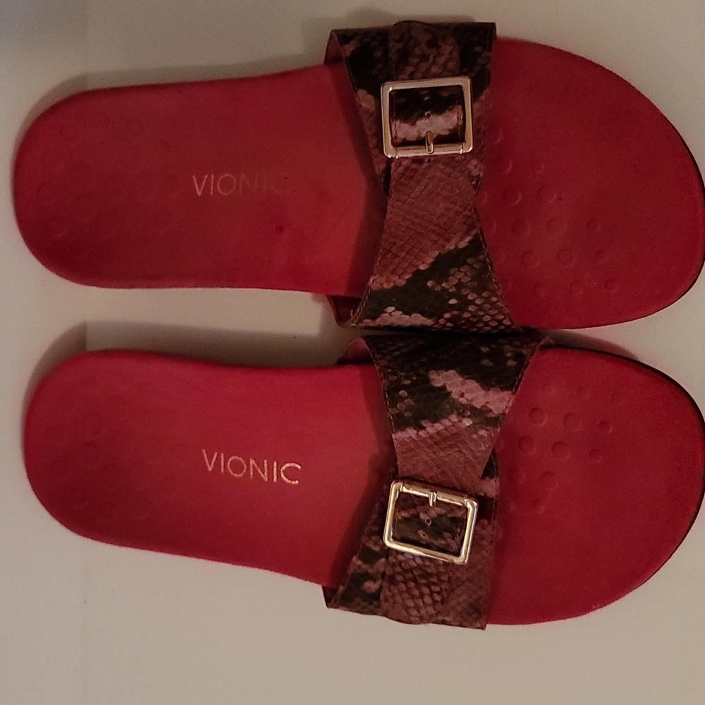 Vionic Santos slides